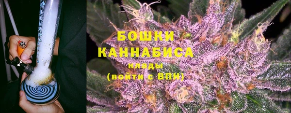 мяу мяу мука Иннополис