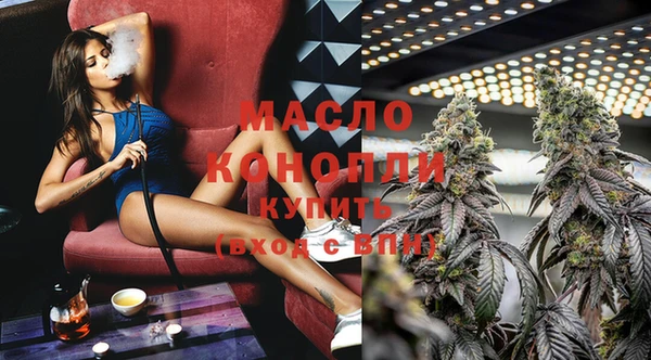 мяу мяу мука Иннополис