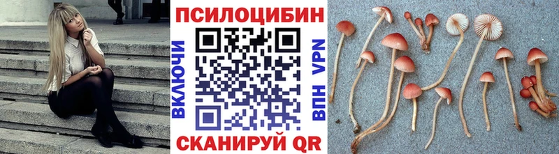 Купить закладки  Южно-Сахалинск  Псилоцибиновые грибы мухоморы 